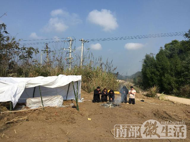四川营山县一企业建种猪场“撬祖坟”引发争议